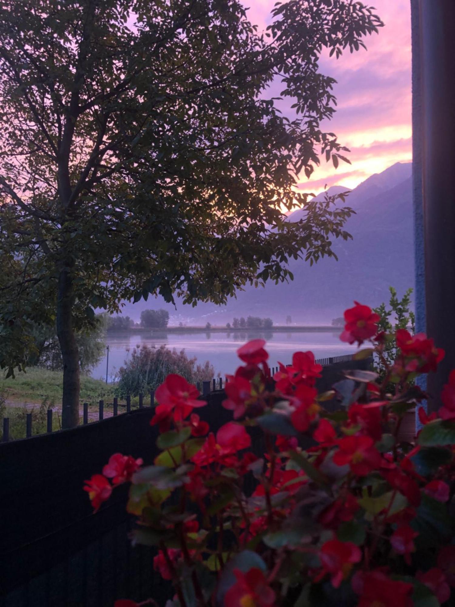 Bed and Breakfast Adeline Dascio Exterior foto