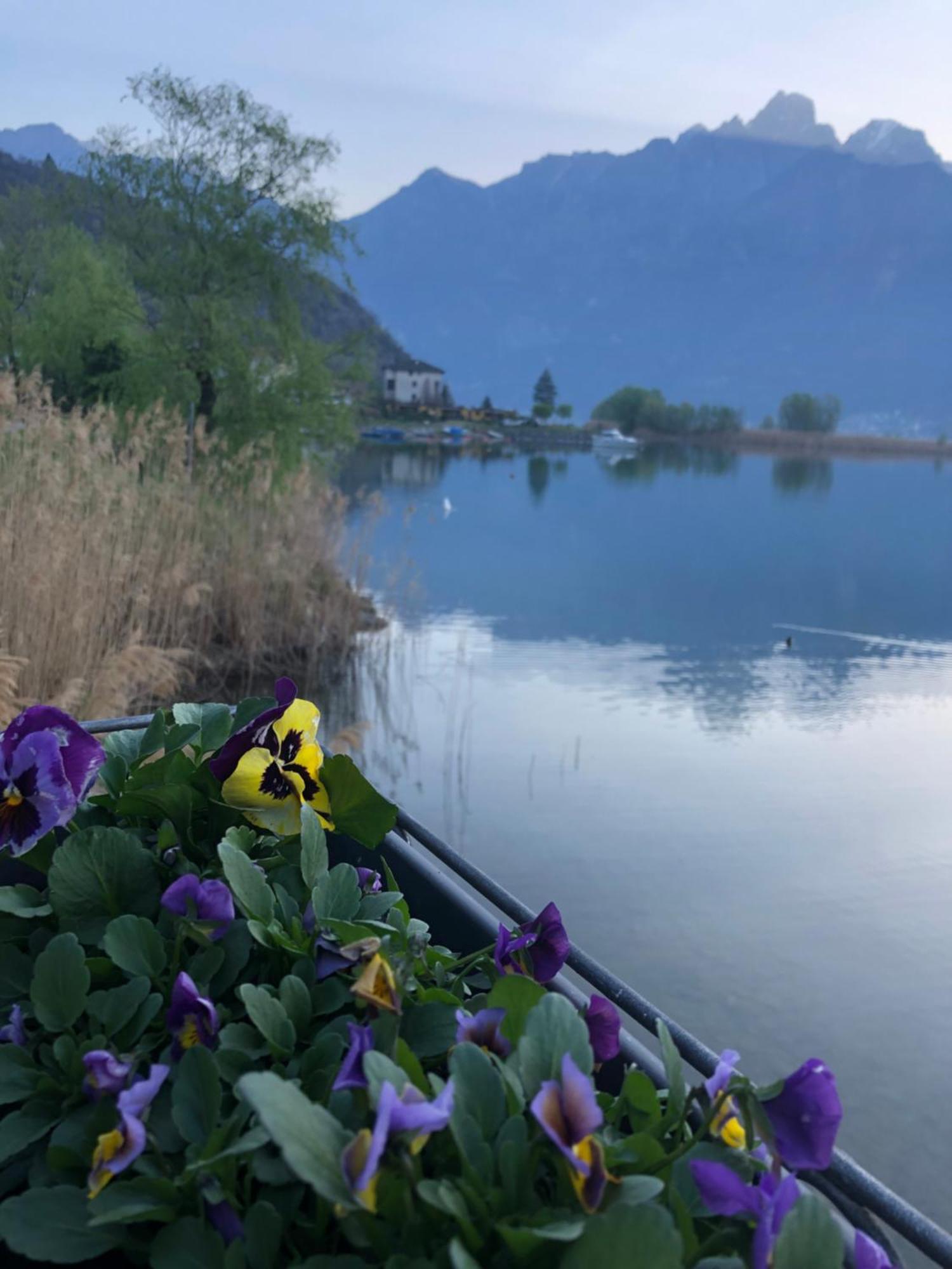 Bed and Breakfast Adeline Dascio Exterior foto